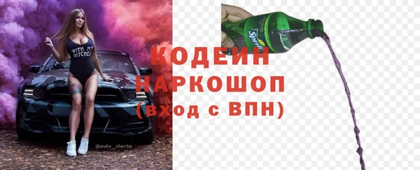 Альфа ПВП Бородино