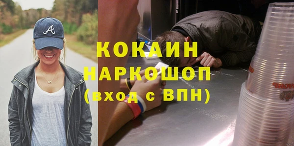 Альфа ПВП Бородино