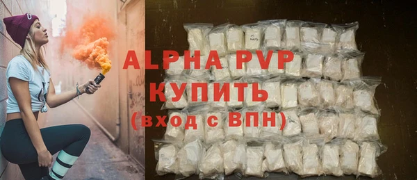 Альфа ПВП Бородино