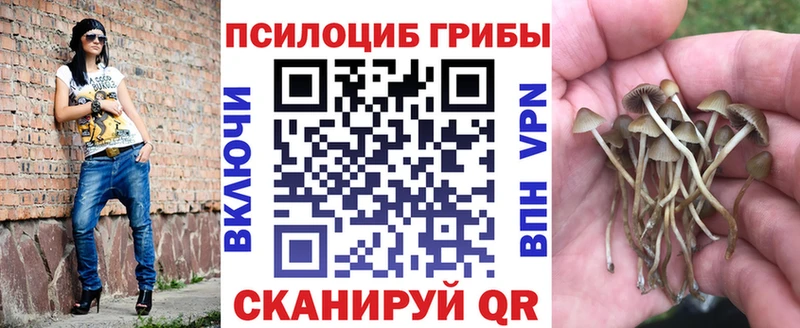 Купить  Высоковск  Псилоцибиновые грибы Magic Shrooms 